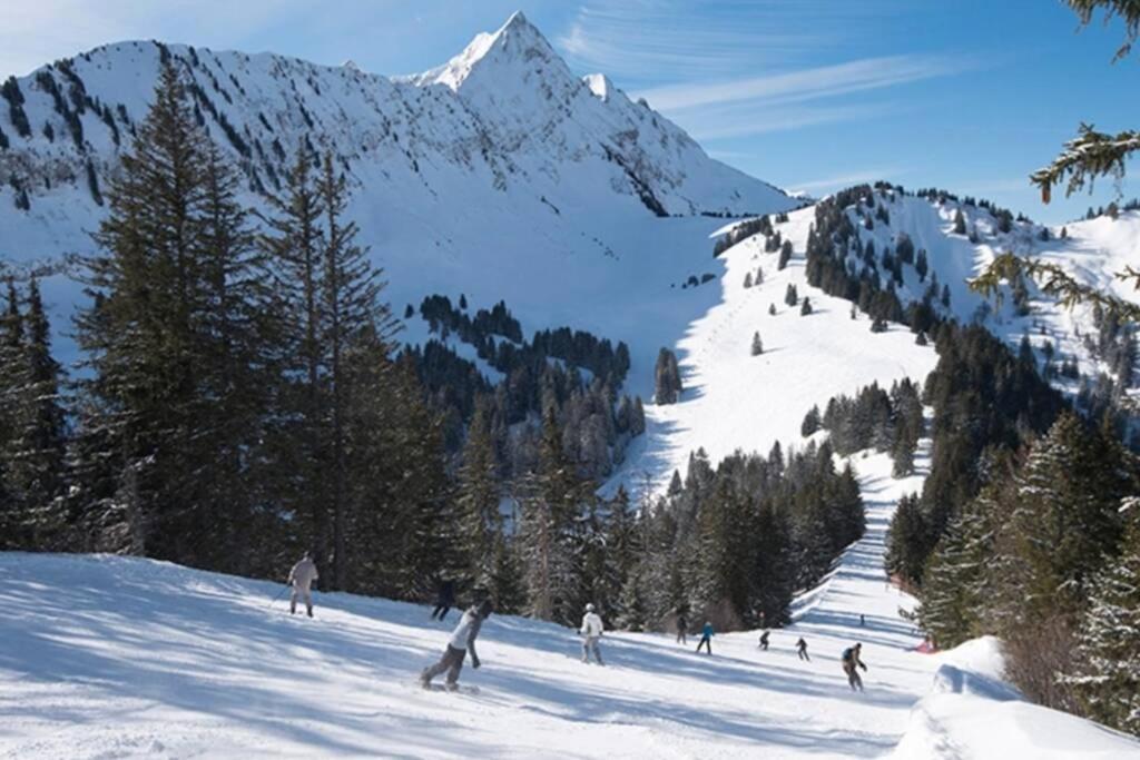 Le Relai S31 - Grand et lumineux studio avec coin montagne 4-6 pers, tout équipé, avec WIFI, à 30m des pistes avec un grand balcon, DRAPS NON COMPRIS Saint-Jean-dʼAulps Exterior foto